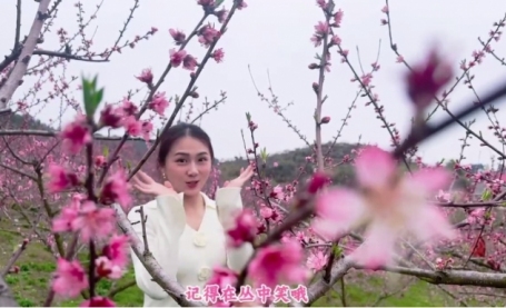 视频丨快来抓住娄底这波桃花时令！