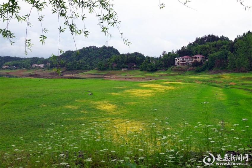 6.雨洗花容净，青滋柳色新。