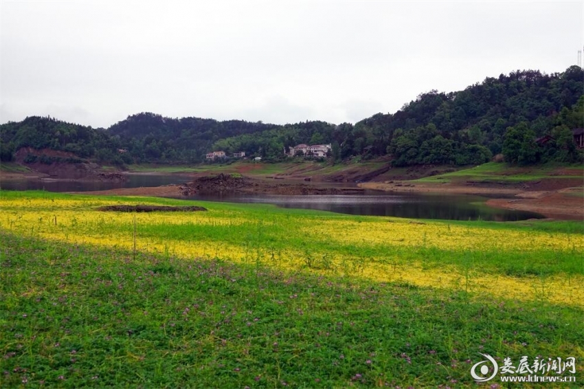 10.满地湿云收未尽，一帘花影不分明。